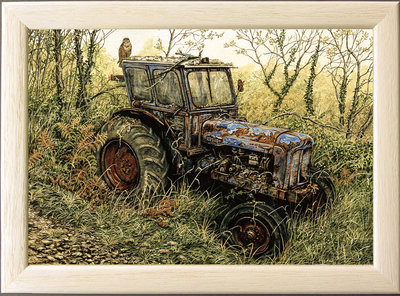 Image of Timmy's Tractor and Buzzard, 1950's Fordson Major, St. Columb Major 